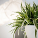 Business photography - AWT-Fotografie